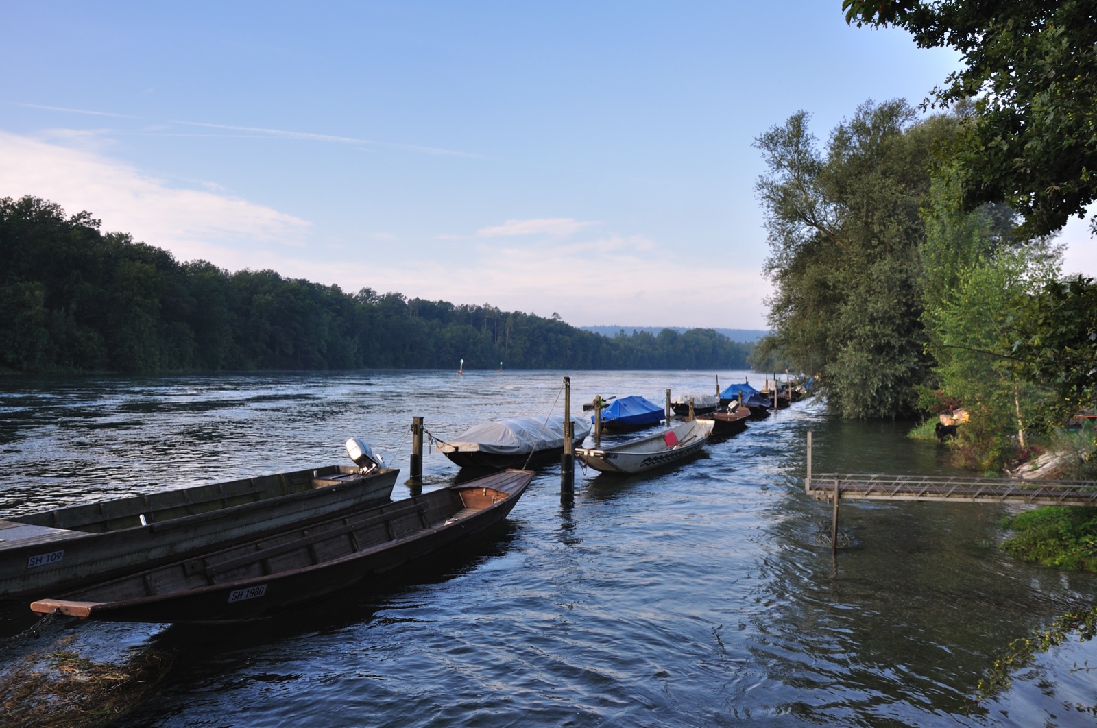Weidling bei der Laag, Dörflingen
